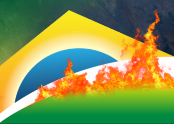 Desmatamento recorde e aumento das queimadas