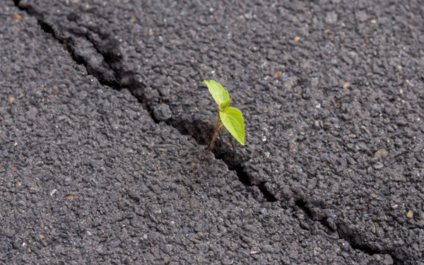 A “velha política” ainda está viva. Mas há novidades.