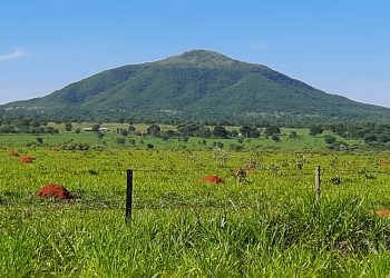 Morro da Garça: o sertão é, antes de tudo, a terra dos visionários!