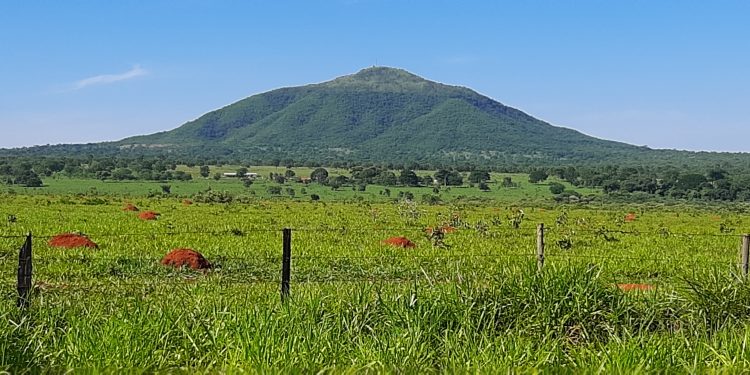Morro da Garça: o sertão é, antes de tudo, a terra dos visionários!