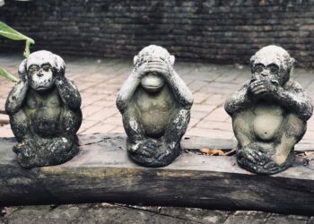 Vivemos sob a farsa do negacionismo