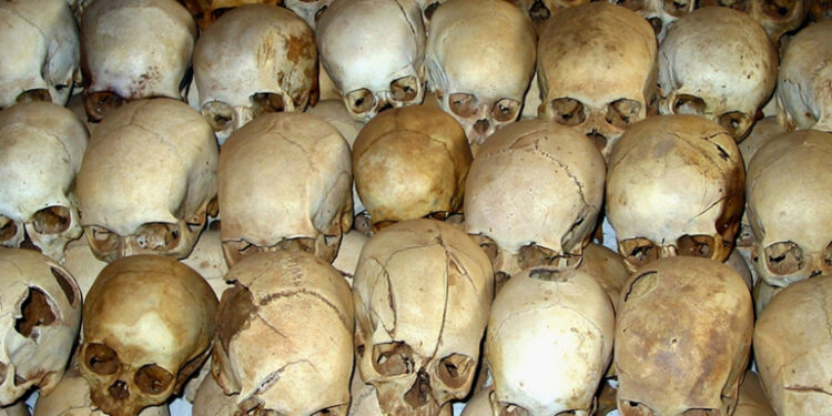 Imunidade de rebanho como estratégia para o genocídio