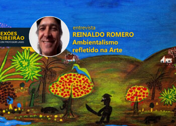 Reinaldo Romero | Ambientalismo refletido na Arte