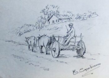 Ribeirão, 166 anos: nascemos sob o signo da luta pela terra (I)